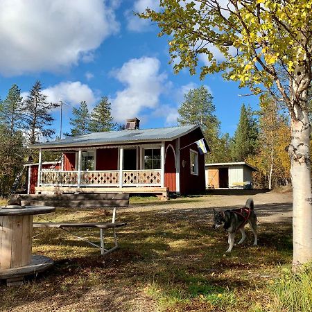Off-Grid Cabin In Nattavaara Lapland Extérieur photo