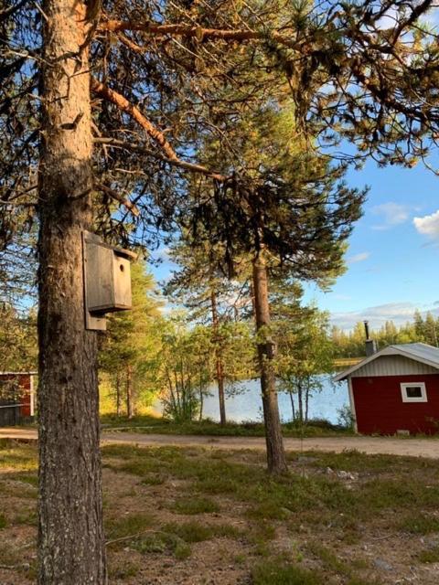 Off-Grid Cabin In Nattavaara Lapland Extérieur photo