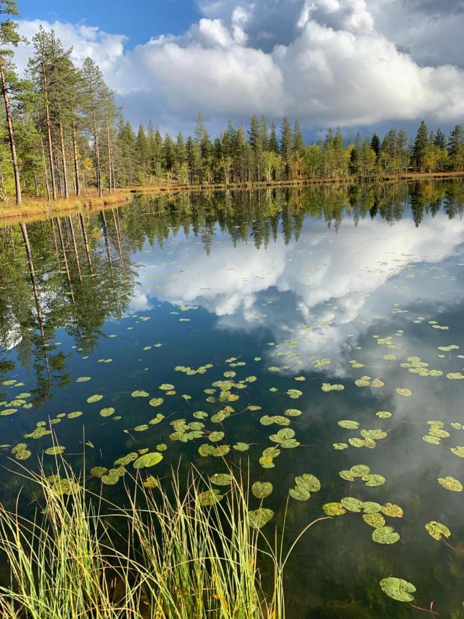 Off-Grid Cabin In Nattavaara Lapland Extérieur photo