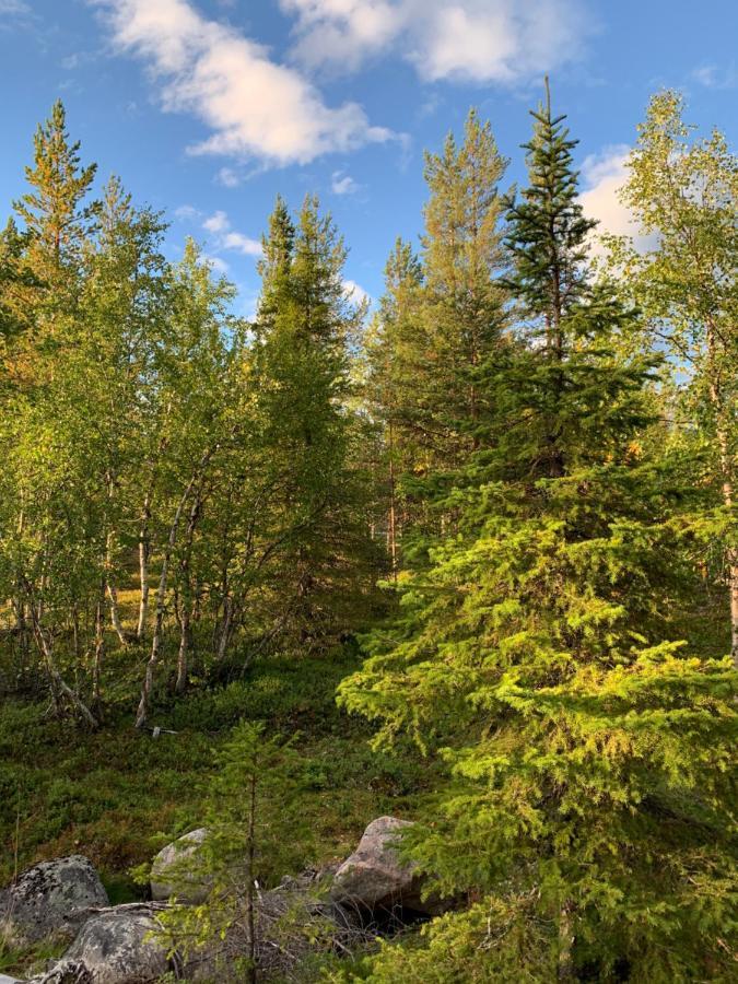 Off-Grid Cabin In Nattavaara Lapland Extérieur photo