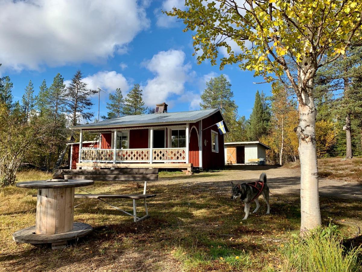 Off-Grid Cabin In Nattavaara Lapland Extérieur photo